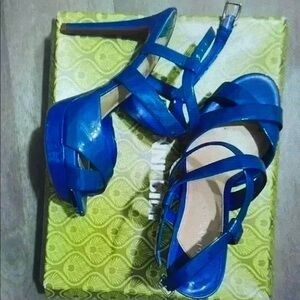Elegant Blue Platform Heels